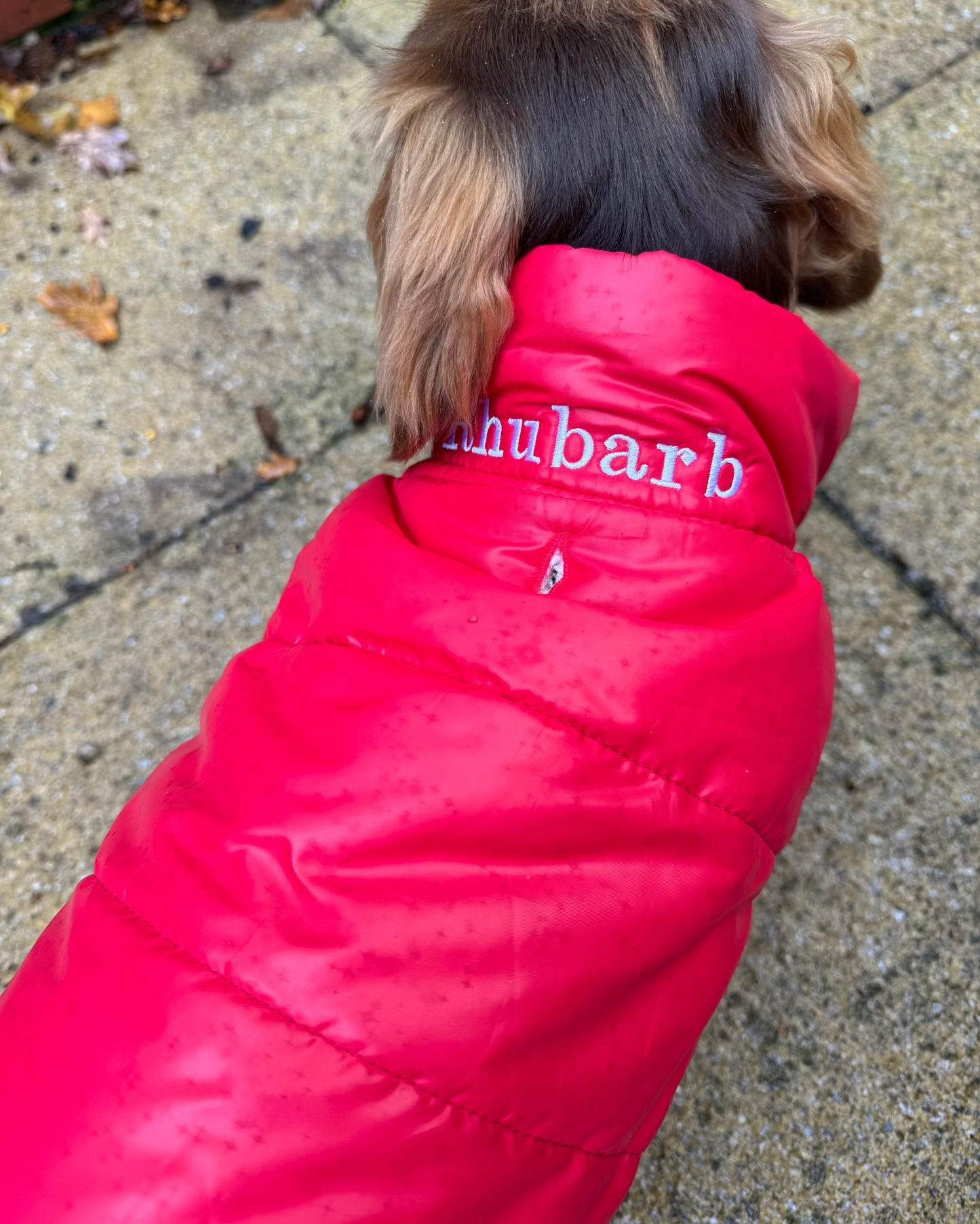 Personalised Dog Puffer Jacket | Fleece Lined | Various Colours | Button Down