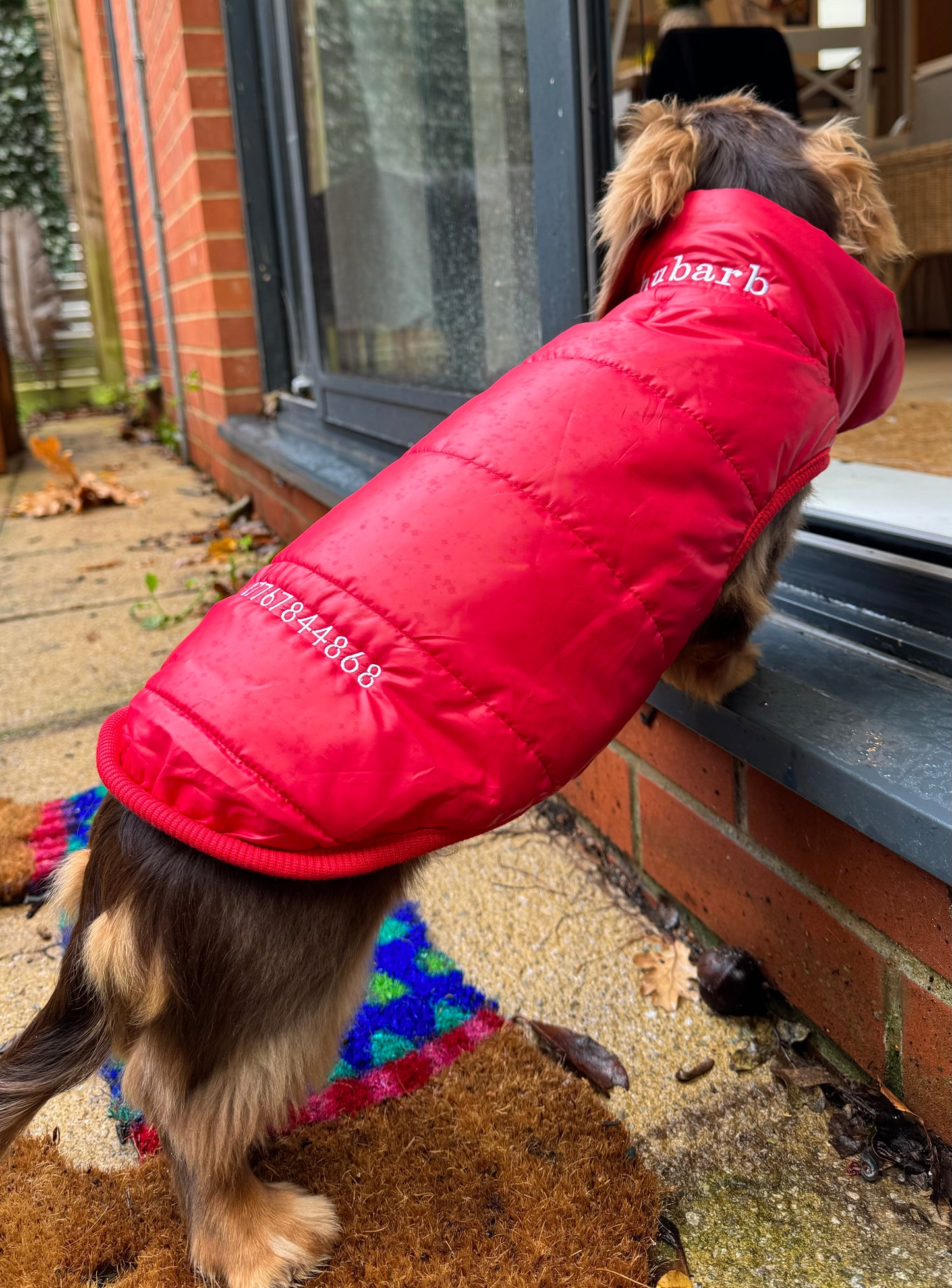 Personalised Dog Puffer Jacket | Fleece Lined | Various Colours | Button Down