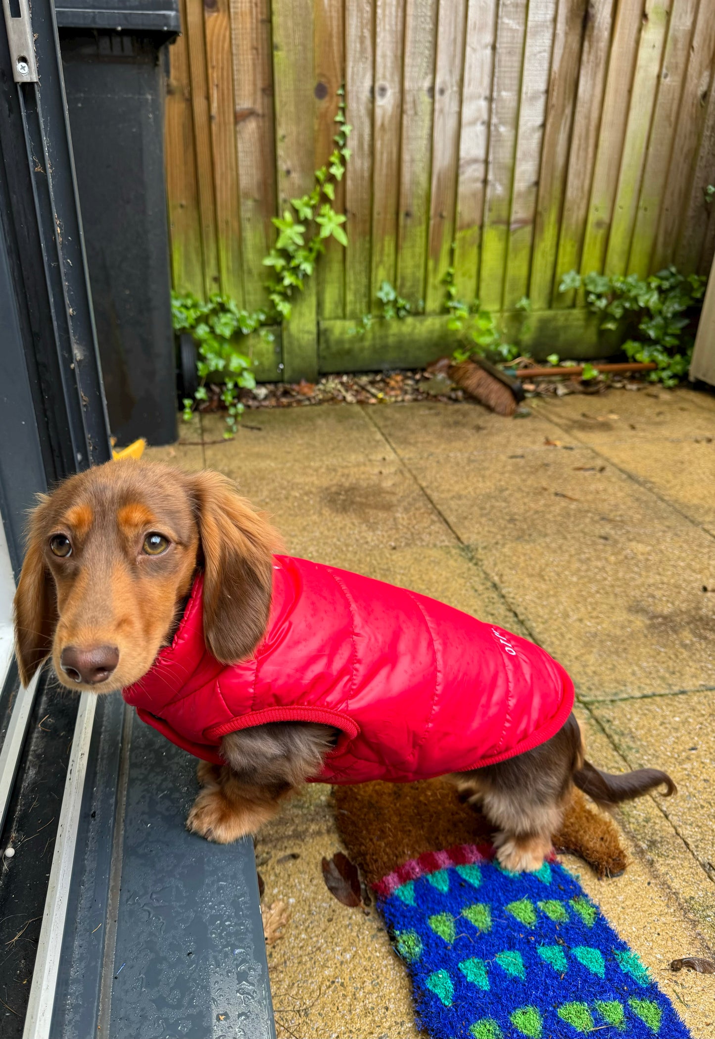 Personalised Dog Puffer Jacket | Fleece Lined | Various Colours | Button Down