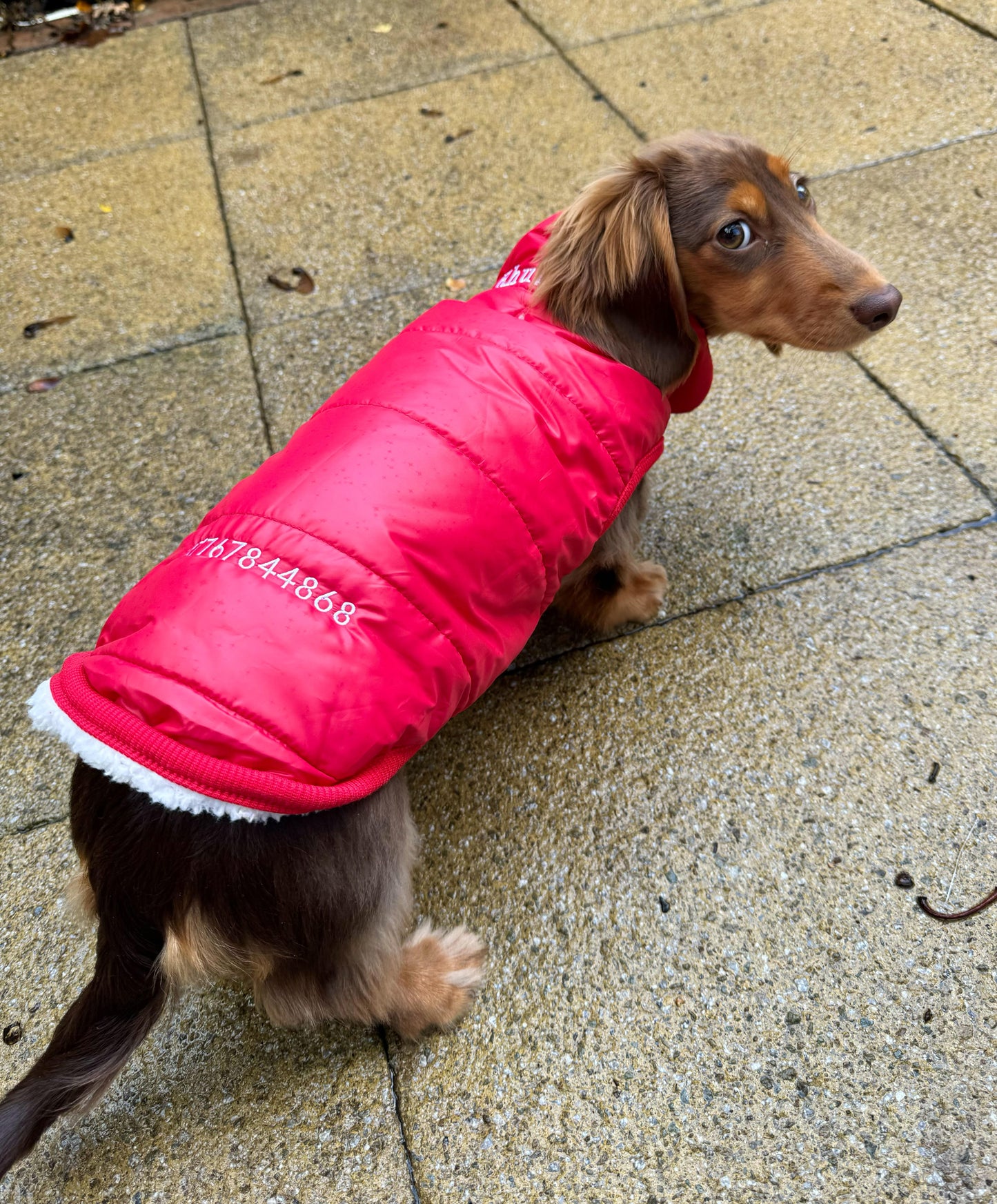 Personalised Dog Puffer Jacket | Fleece Lined | Various Colours | Button Down